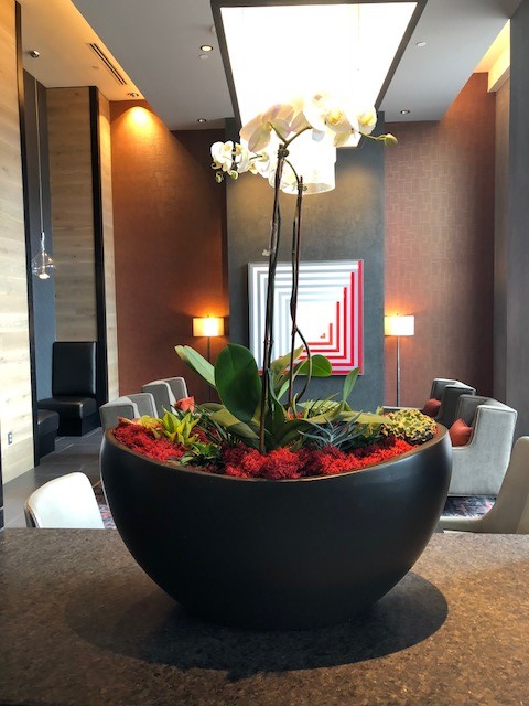 interior plantscaping baltimore md interior plant services