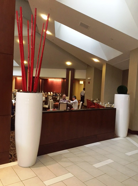 interior plantscaping baltimore md interior plant services