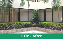 Plant Design Copt after Exterior plantscaping Plant Design Copt after Exterior plantscaping