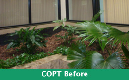 Plant Design Copt Before Exterior plantscaping Plant Design Copt Before Exterior plantscaping