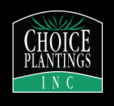 Choice Plantings