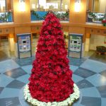 Poinsettias Tree holiday plant installation